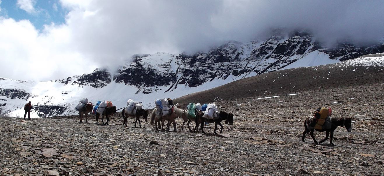 Gasherbrum II Expedition (8,034m)